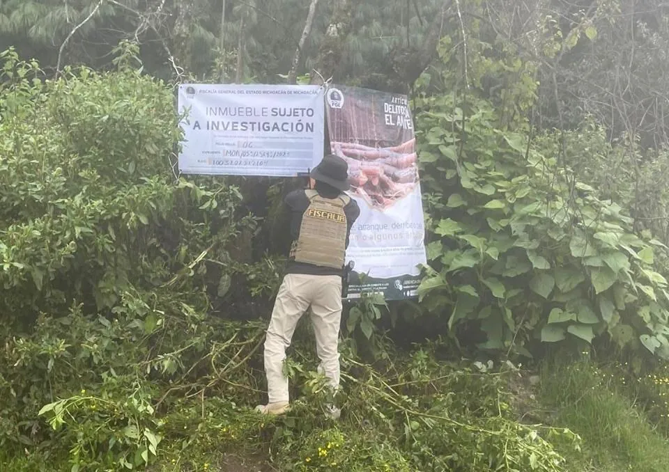 FGE realiza tres cateos en Zinapécuaro Por delitos contra el ambiente