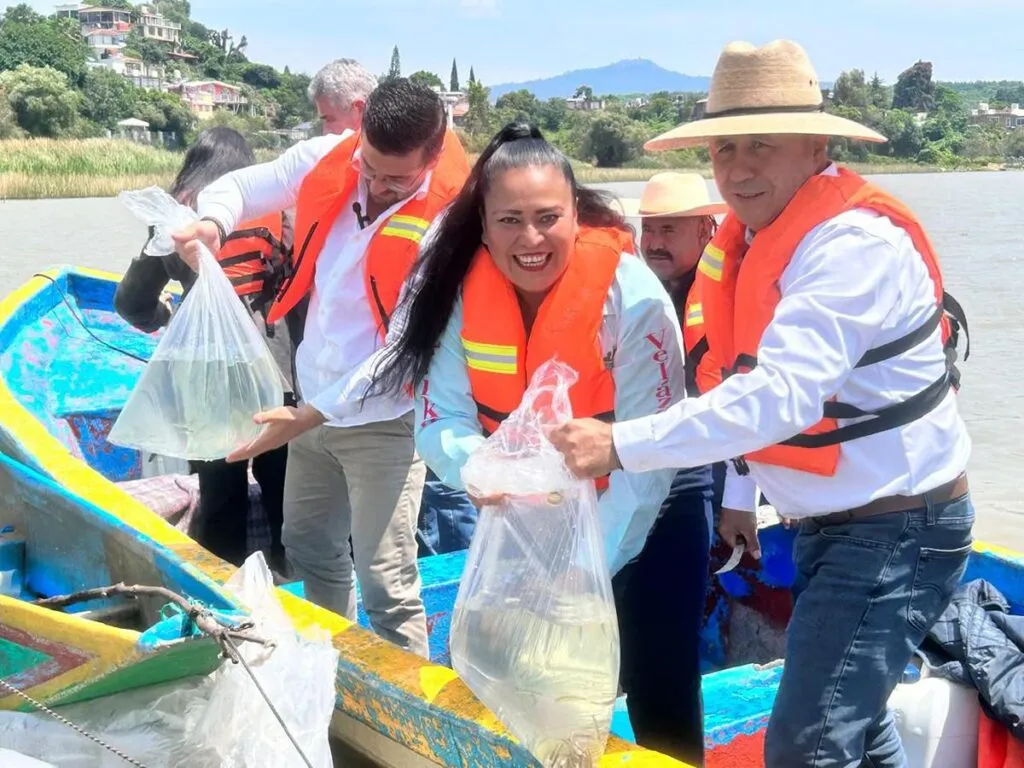 Gobierno de Michoacán siembra 15 mil crías de pescado blanco en el lago de Pátzcuaro-1