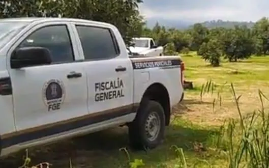 Identifican segundo cadáver hallado en fosa clandestina de Ziracuaretiro