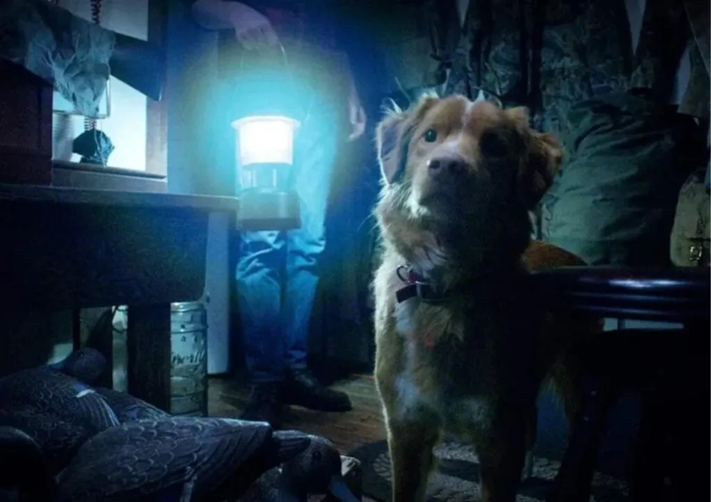 Imagen de película de terror protagonizada por un perro