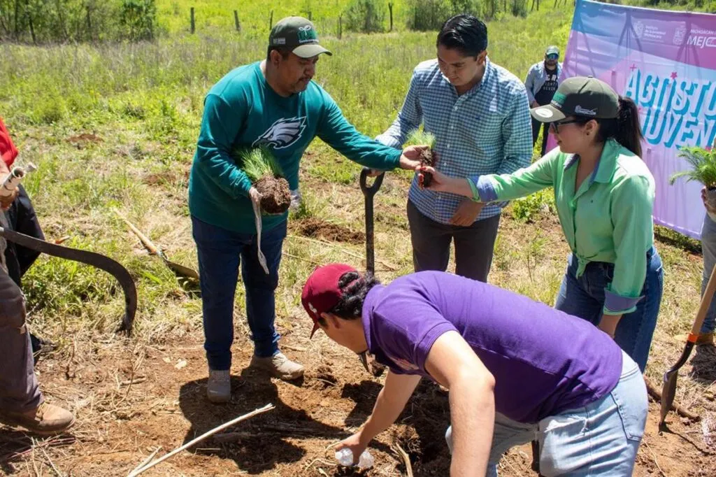Jóvenes plantan árboles en 16 municipios