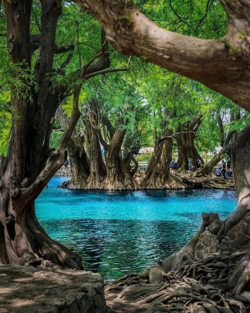 lago de Camécuaro espera a visitantes