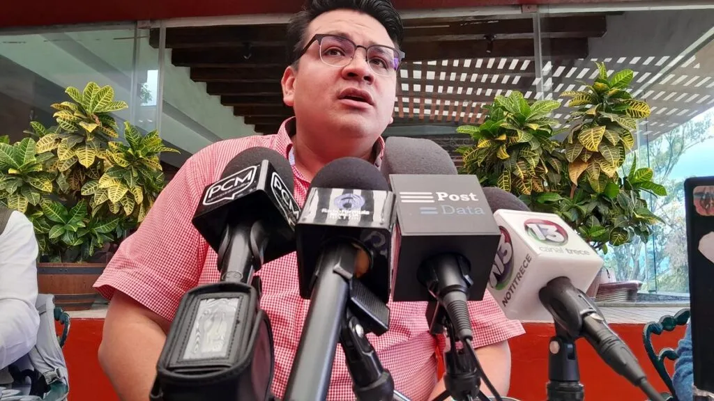 Las plurinominales se generaron y sirven para generar contrapesos