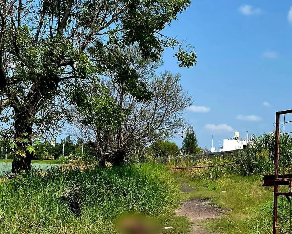Localizan cadáver con huellas de violencia en predio de Zamora, Michoacán