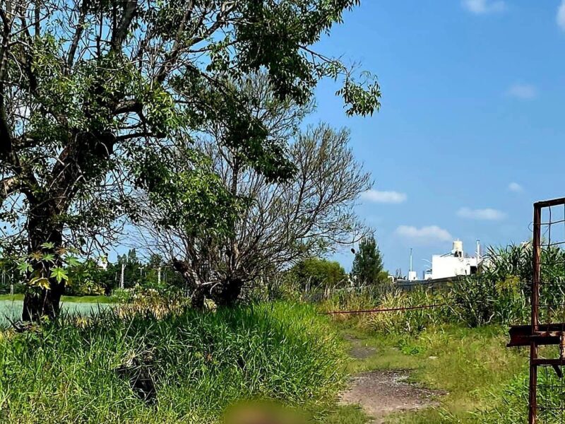 Localizan cadáver con huellas de violencia en predio de Zamora, Michoacán
