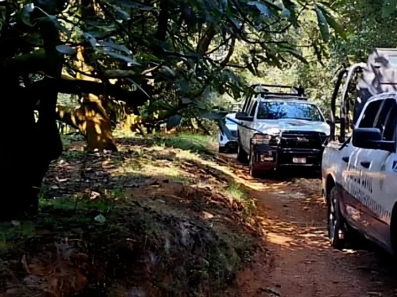 Localizan el cadáver de un hombre en 'La Escondida', Tingambato