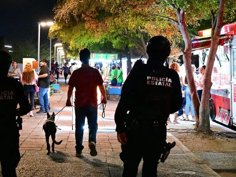 México Evalúa: Sinaloa, Hidalgo y Nayarit, los Estados con mayor índice de violencia