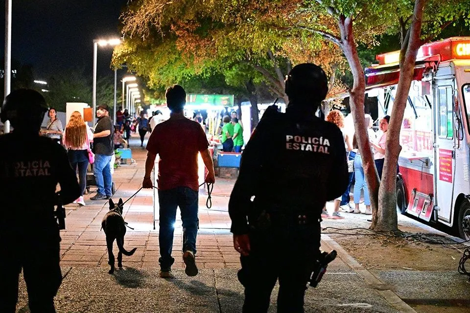 México Evalúa: Sinaloa, Hidalgo y Nayarit, los Estados con mayor índice de violencia