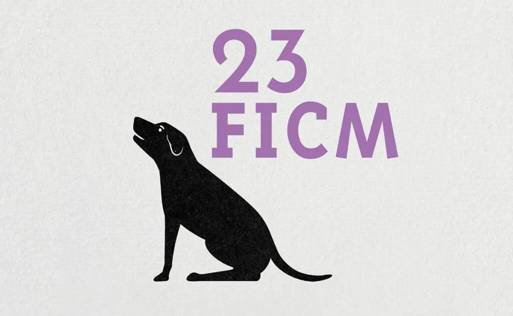 Morelia premia la diversidad: mujeres, cineastas indígenas y debuts en la selección oficial del FICM 2025