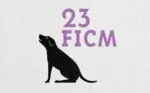 Morelia premia la diversidad: mujeres, cineastas indígenas y grandes debuts protagonizan la selección oficial del FICM 2025