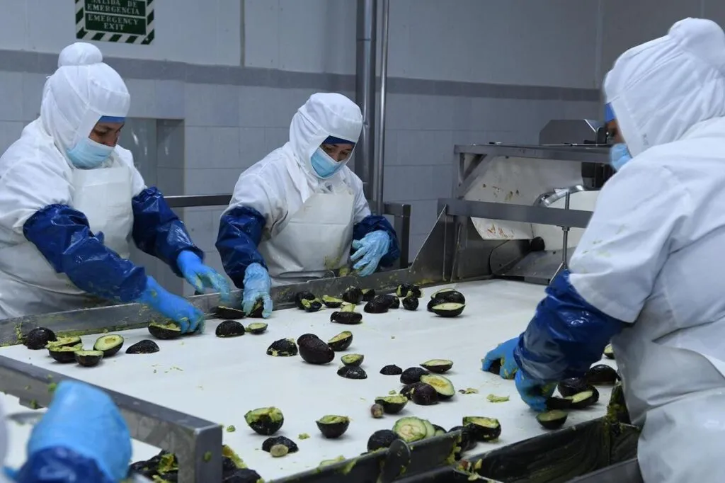 Parque Industrial Bajío creará más de 27 mil empleos: Sedeco