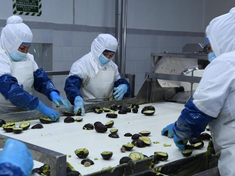 Parque Industrial Bajío creará más de 27 mil empleos: Sedeco