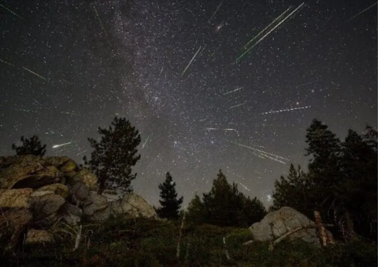 Perseidas 2025: Esta es la mejor noche para verlas en México