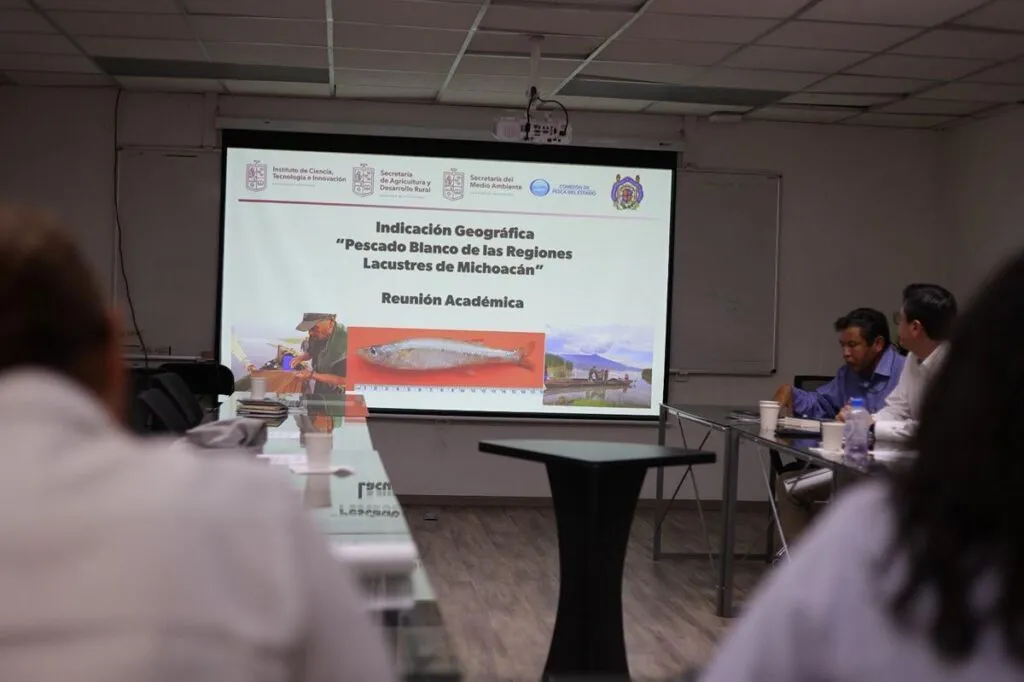 Pescado blanco de Pátzcuaro será protegido