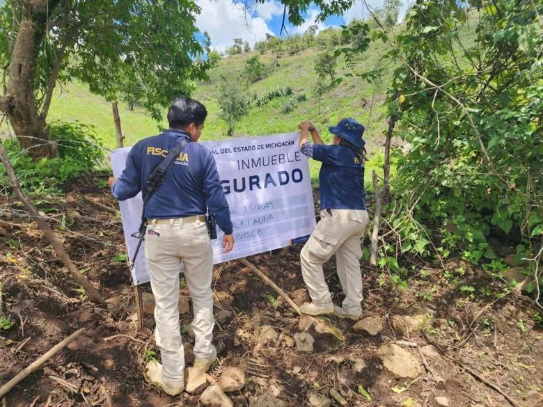 Por delitos contra el ambiente, FGE asegura dos predios con plantaciones de aguacate en Zacapu
