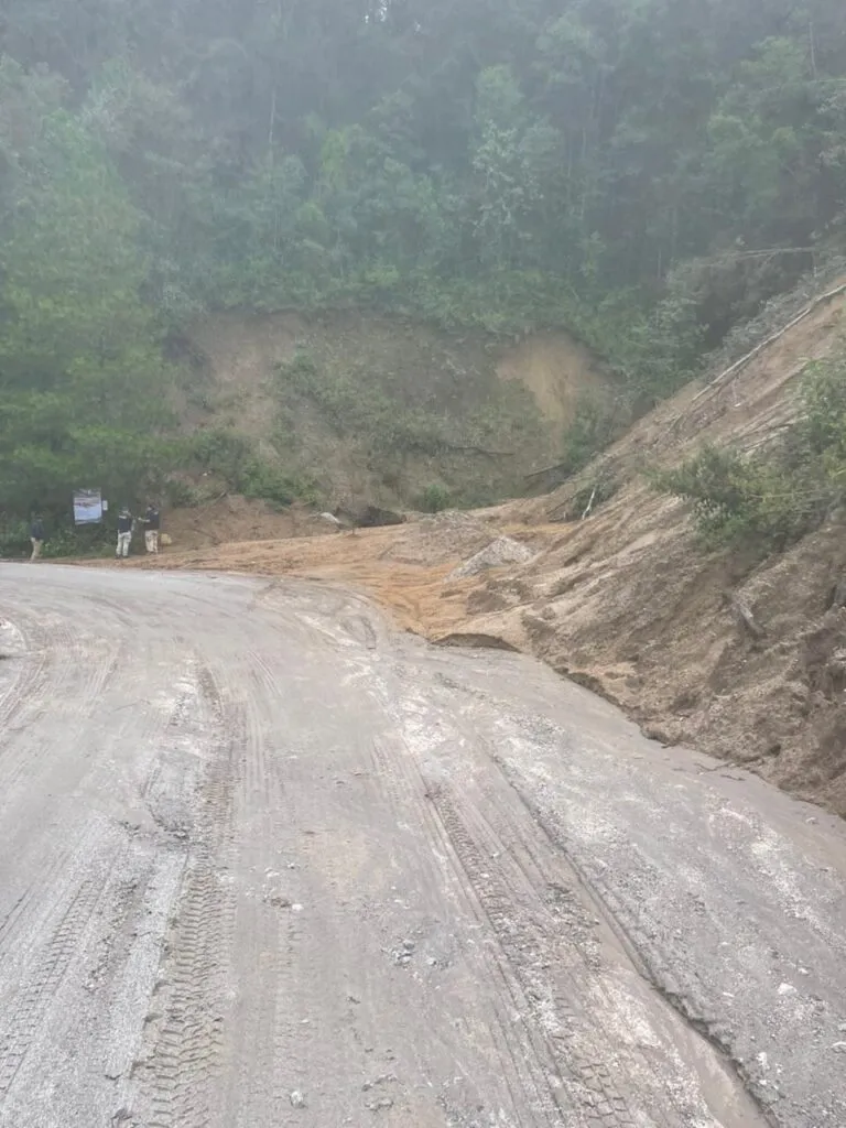 Por delitos contra el ambiente, realizan tres cateos en Zinapécuaro