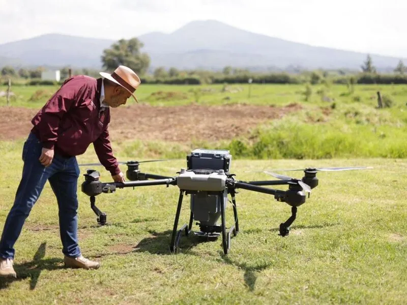 Reforestación con drones supera meta de 250 mil semillas sembradas: Bedolla