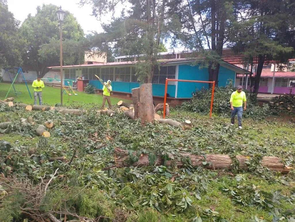 Refuerza Alma Mireya González cuidado de áreas verdes escolares y dan mantenimiento