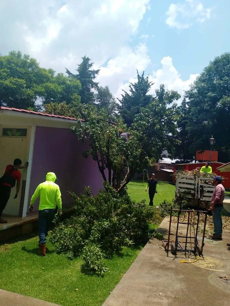 Refuerza Alma Mireya González cuidado de áreas verdes escolares y dan mantenimiento-2