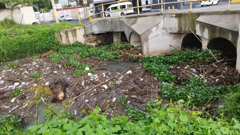 Tapón de basura colapsa dren en Morelia y obliga a retiro de toneladas