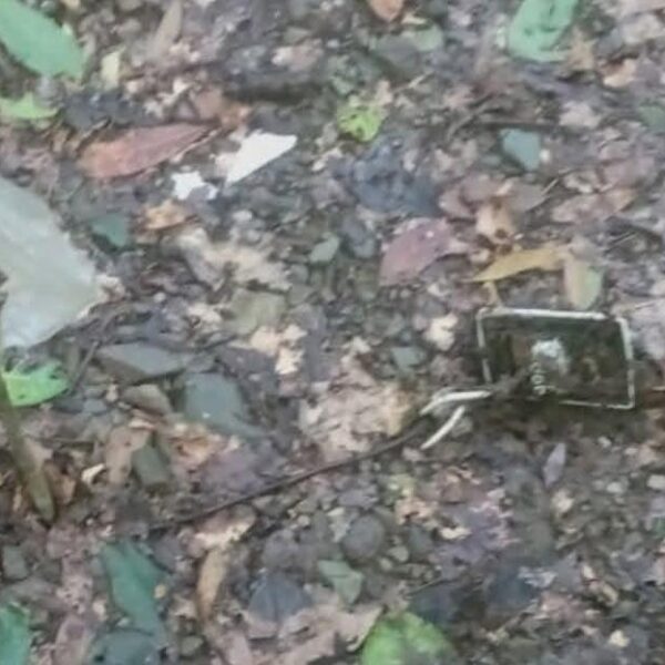 Vecinos de Coahuayula encuentran “narcominas”