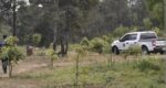 Ziracuaretiro: En fosas clandestinas hallan los cadáveres de dos hombres