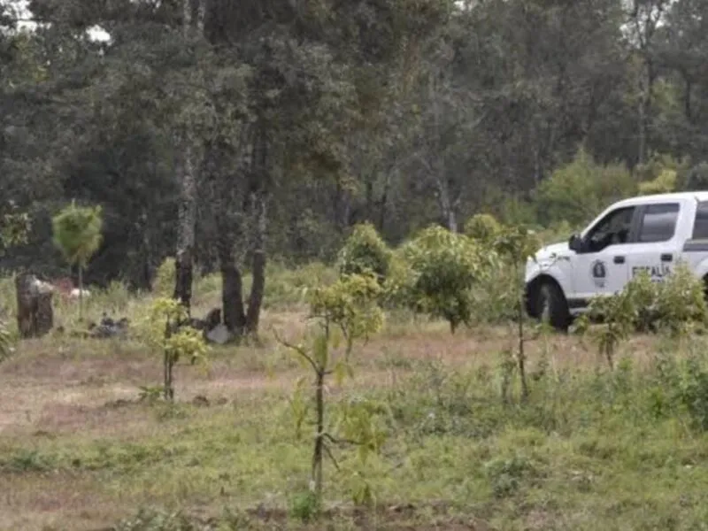 Ziracuaretiro: En fosas clandestinas hallan los cadáveres de dos hombres