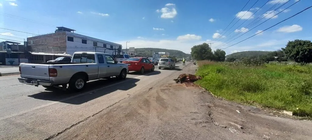 Accidente en Morelia-Salamanca genera caos vial