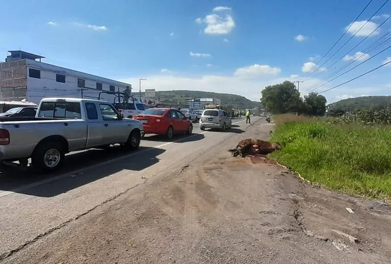 Accidente en Morelia-Salamanca genera caos vial