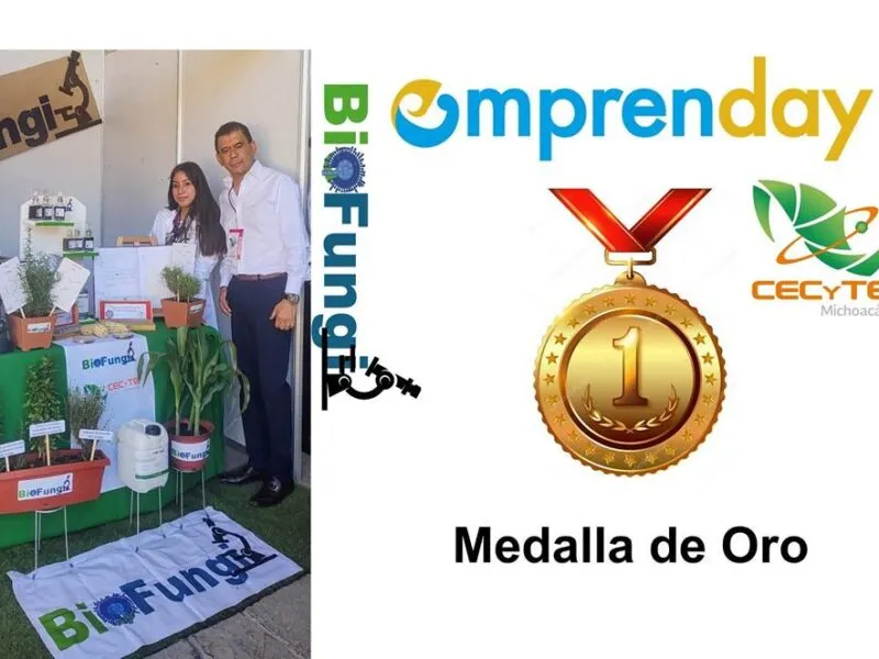 alumnas del Cecytem Michoacán logran oro en concurso internacional de ciencia