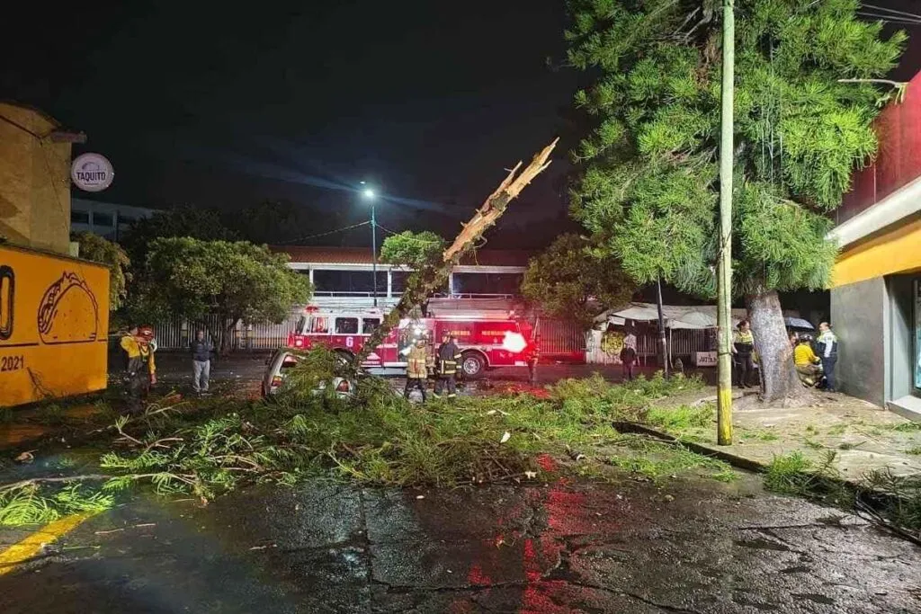 Árbol cae sobre auto en Morelia y deja pareja herida