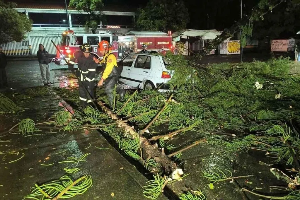Árbol cae sobre auto en Morelia y deja pareja lesionada