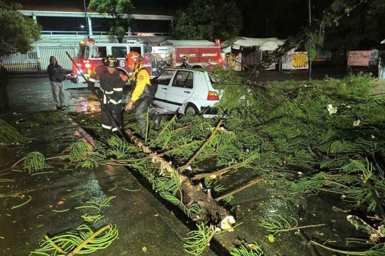 Árbol cae sobre auto en Morelia y deja pareja lesionada