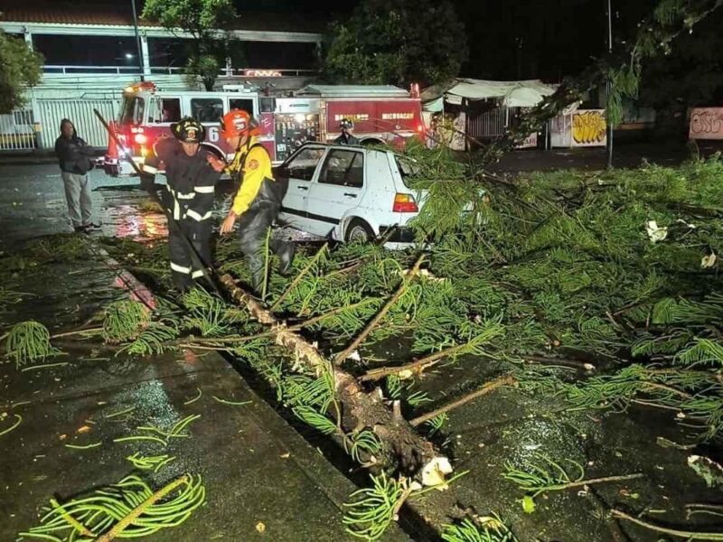 Árbol cae sobre auto en Morelia y deja pareja lesionada