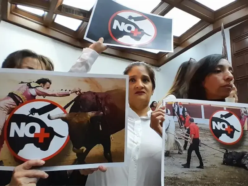 Bedolla advierte cese laboral a jueces que permitan corridas de toros en Michoacán
