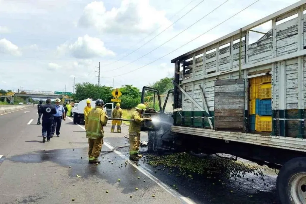 Camión torton arde en plena carretera de Parácuaro y causa alarma entre automovilistas