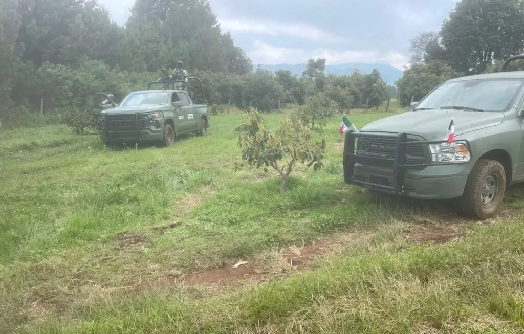 En Tacámbaro, cumplimenta FGE orden de cateo en predio relacionado con delitos ambientales-1