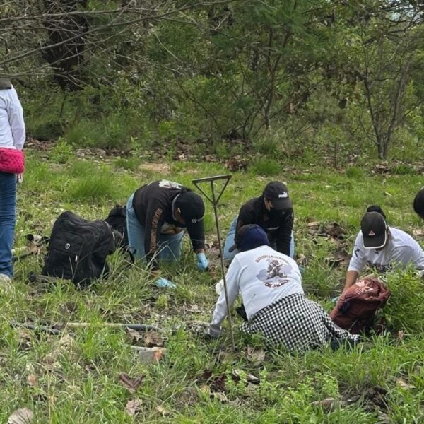 Fosa clandestina Las Agujas: 259 bolsas con restos humanos