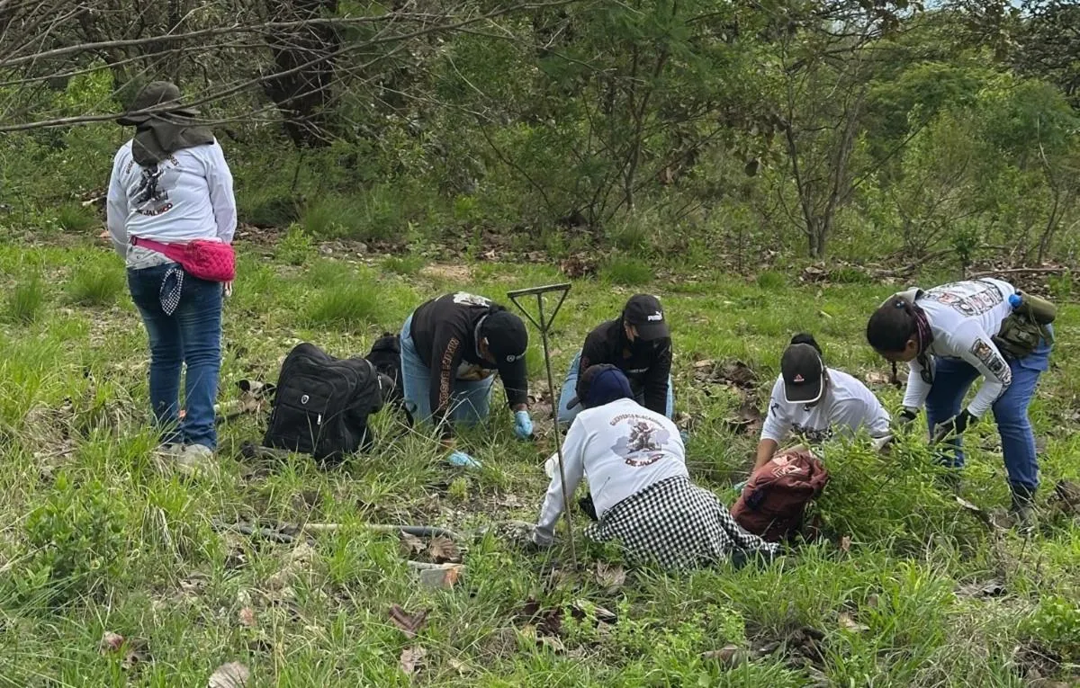 Fosa clandestina Las Agujas: suman 259 bolsas con restos humanos