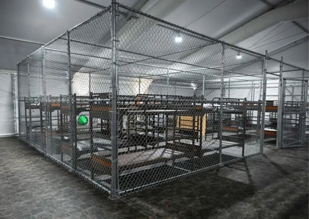 Hay 19 mexicanos detenidos en Alcatraz de los Caimanes y 23 en Georgia