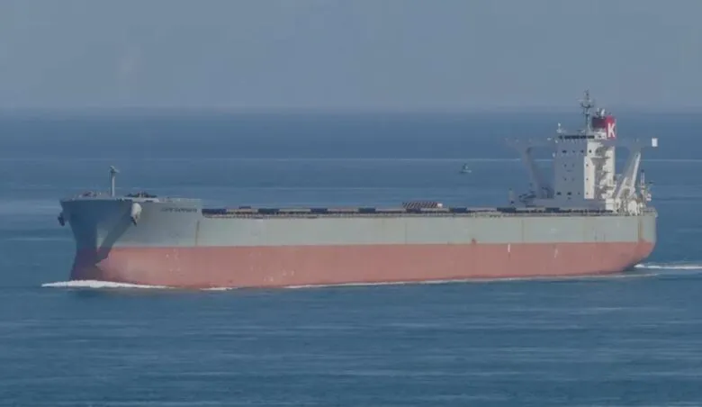 Investigan en Lázaro Cárdenas buque que navega con bandera de Panamá con documentos falsos
