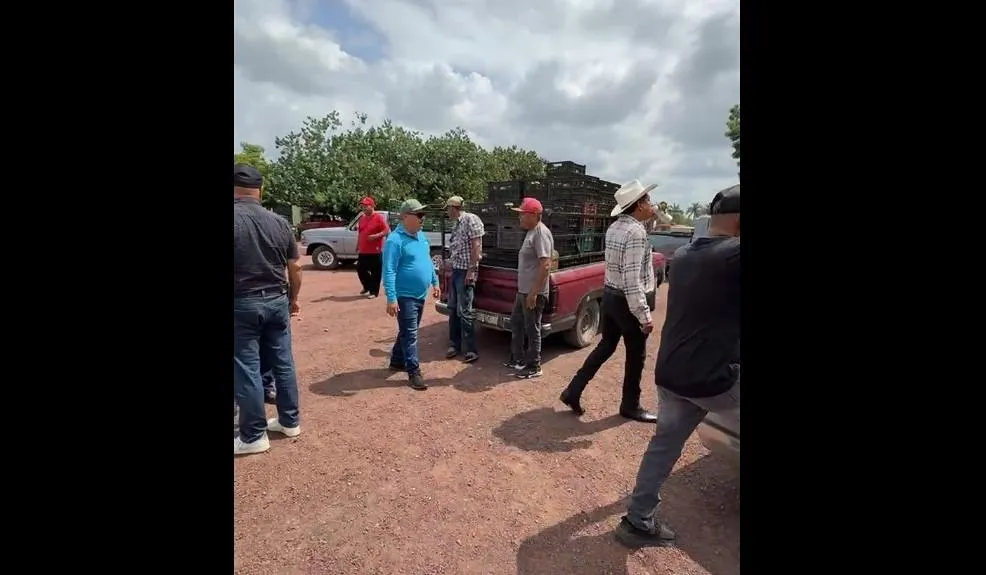 Limoneros de Apatzingán exigen seguridad y alto a los abusos en retenes