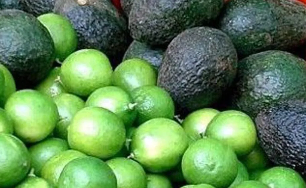 Michoacán lidera en producción de aguacate y limón: Inegi