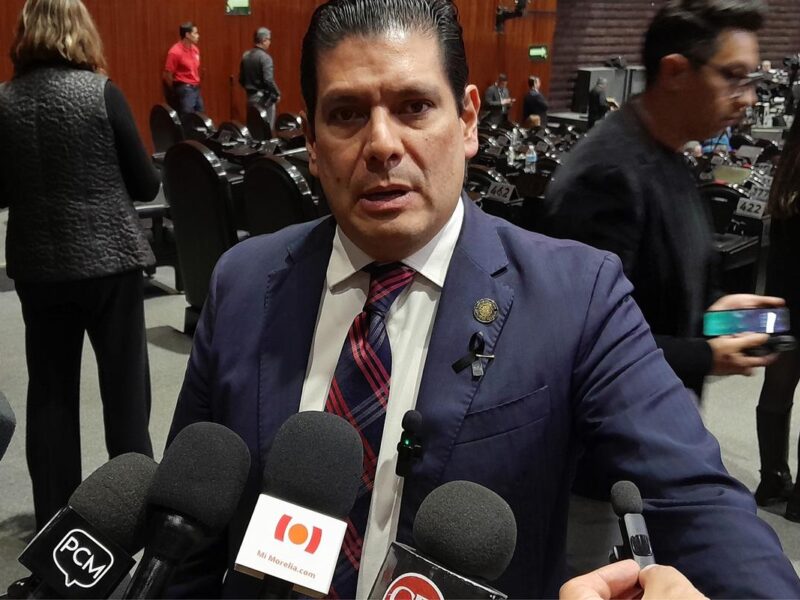 Partido Verde a favor de la permanencia de las plurinominales