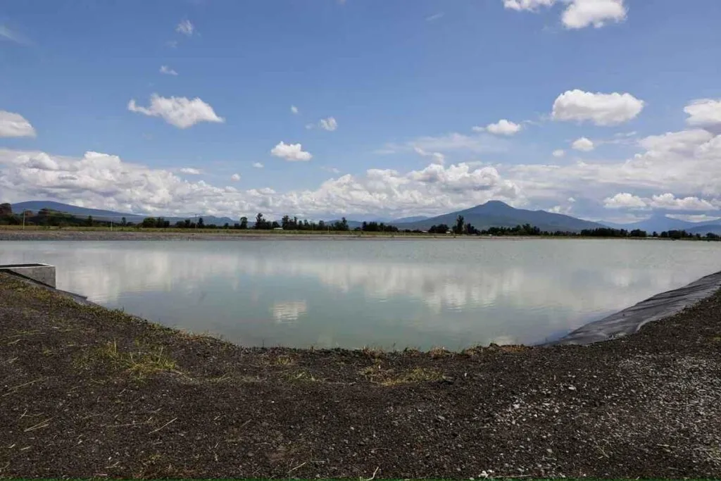 Planta tratadora en Zamora convertirá aguas negras en recurso para el campo: Bedolla-2
