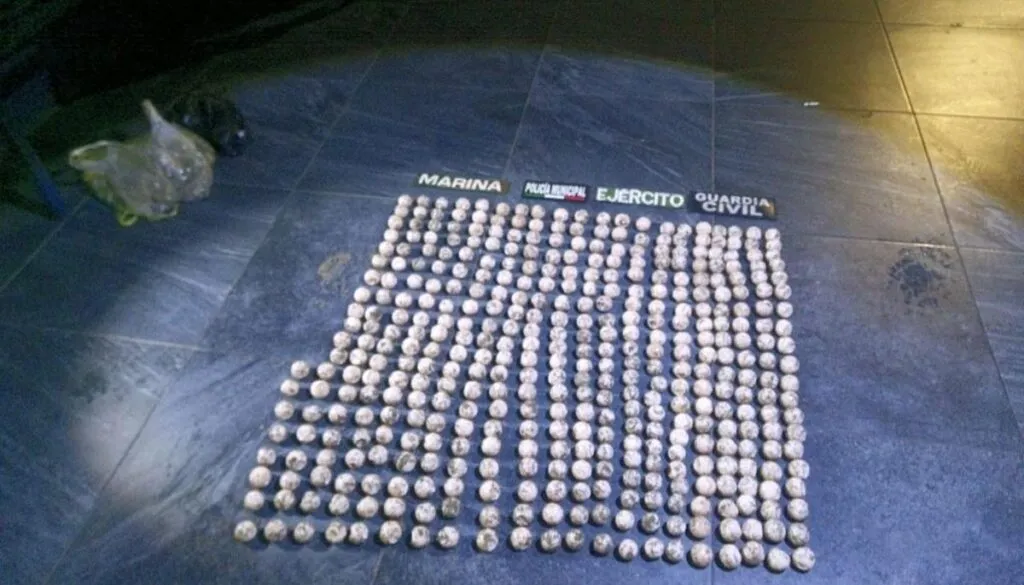 Semar, Defensa y Policía de Lázaro Cárdenas, decomisan y ‘salvan’ más de 400 huevos de tortuga-1