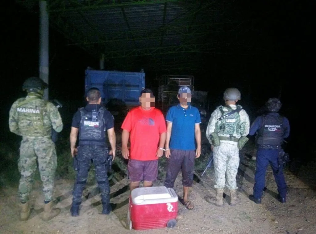 Semar, Defensa y Policía de Lázaro Cárdenas, decomisan y ‘salvan’ más de 400 huevos de tortuga