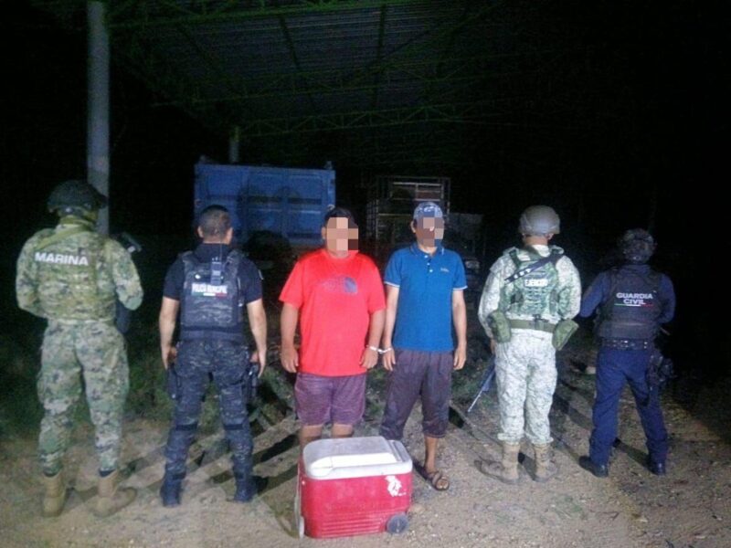 Semar, Defensa y Policía de Lázaro Cárdenas, decomisan y ‘salvan’ más de 400 huevos de tortuga