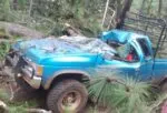 Un hombre pierde la vida y una mujer queda herida tras caerles un árbol en Tingambato