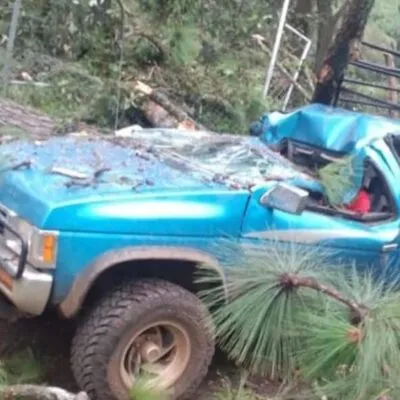 Un hombre pierde la vida y una mujer queda herida tras caerles un árbol en Tingambato